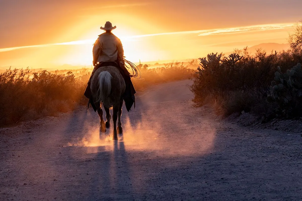 The resurgence of the western genre: a new era on streaming platforms
