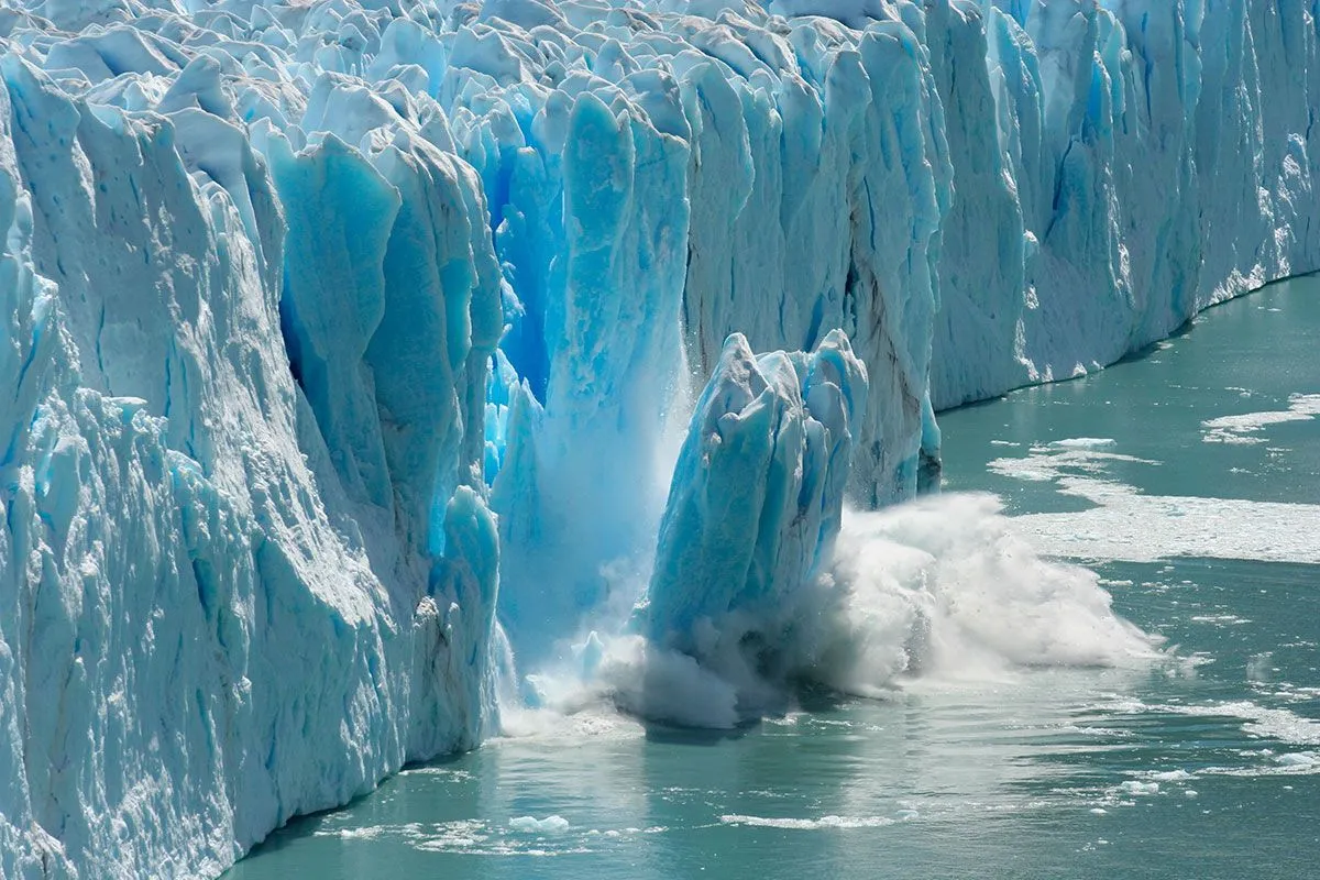 Prehistoric whale cemetery unearthed by melting glaciers in Russia